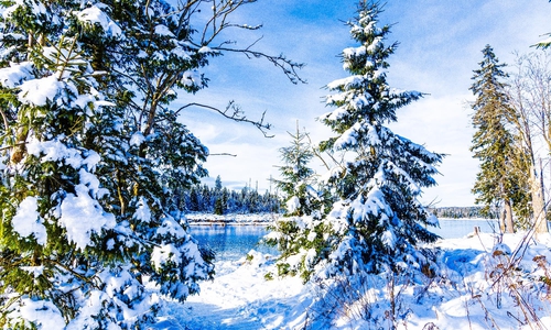 So eine traumhafte Winterlandschaft - wie hier am vergangenen Wochenende am Oderteich im Harz - wünschen sich viele auch zu Weihnachten.