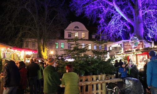 Weihnachtsmarkt auf dem Burgplatz in Schöningen.