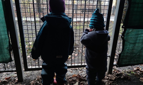 Kinder hinter einem Gitter (Archiv)