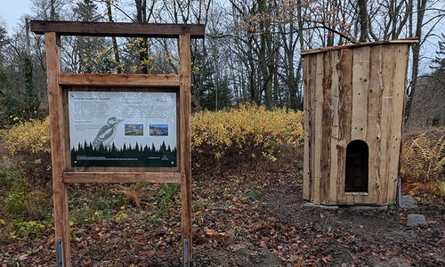 An den Stationen wartet Wissenswertes – sie bieten aber auch Raum für eigene Erkundungen.