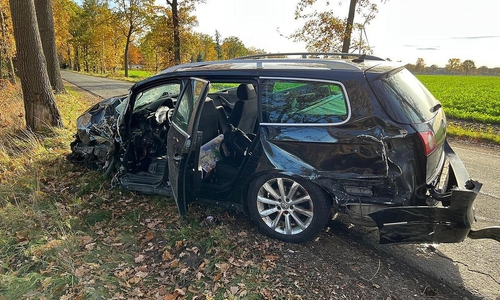 Für den Fahrer kam jede Hilfe zu spät. (Archiv)