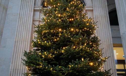 Es weihnachtet im Niedersächsischen Landtag am 28.11.2025