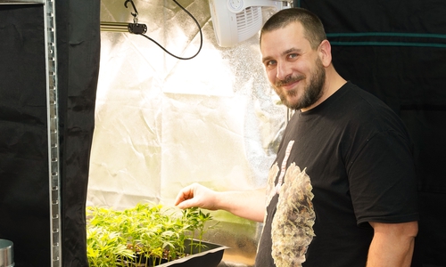Olaf Grätsch bietet in seinem Growshop auch Setzlinge an.