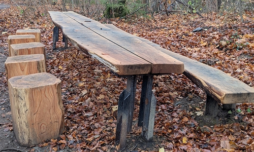 Bereits vorhandene Materialien wurden nachhaltig genutzt. Die individuelle Sitzgruppe lädt die Besucherinnen und Besucher des Walderlebnispfades künftig zum Verweilen ein.