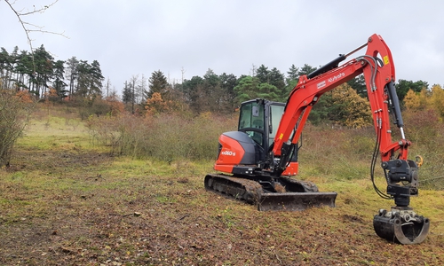 Bereits im letzten Jahr wurden hier Pflegearbeiten durchgeführt.