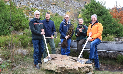 von links: Michael Rudolph (Nds. Landesforsten), Malte Heinemann (fit4future foundation Germany), Tiziana Rose (Antenne Niedersachsen), Josefine Barke (Nds. Landesforsten) und Thomas Fast (United Kids Foundations) pflanzten gemeinsam junge Buchen im Harz.