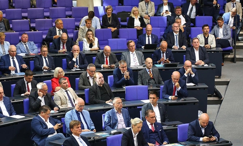 AfD-Bundestagsfraktion (Archiv)