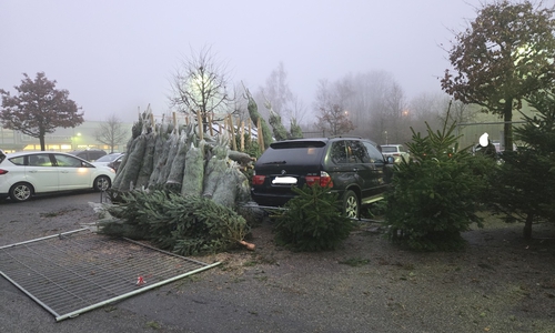 Ein Autofahrer war am Samstagmorgen mit seinem Fahrzeug in einen Weihnachtsbaum-Verkaufsstand gefahren. 