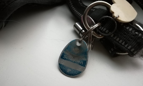 Die Gemeinde Schladen-Werla will die Hundemarke abschaffen. 