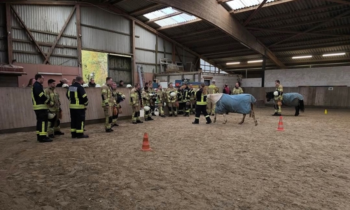 Die Kameradinnen und Kameraden der Feuerwehren Lehre und Groß Brunsrode zusammen mit den Pferdebesitzerinnen in der Reithalle.