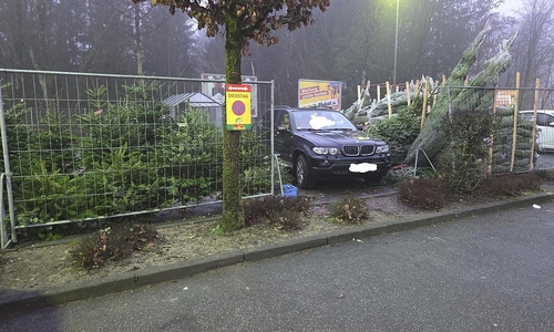 Unfall Weihnachtsbaumverkauf (Archiv)