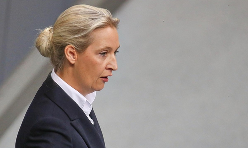 Alice Weidel (Archiv)