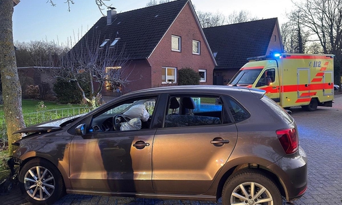 In Wohngebiet mit Baum kollidiert (Archiv)