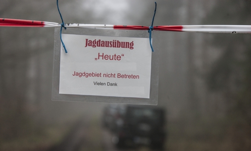 Im Elm findet am Samstag eine Jagd statt.