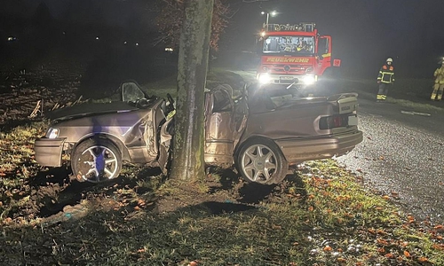 Ford am Baum (Archiv)