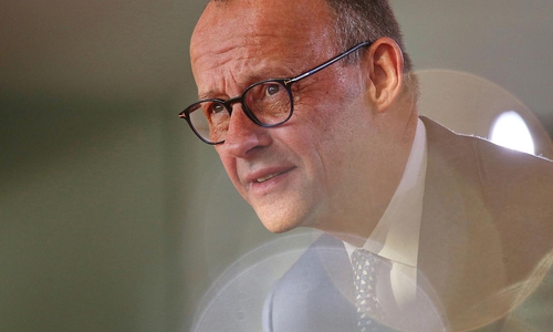 Friedrich Merz (Archiv)