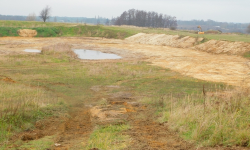 Die Flächen werden mit einem Bagger offengemacht – das verbessert den Lebensraum für Amphibien, etwa den seltenen Kreuz- und Knoblauchkröten. 