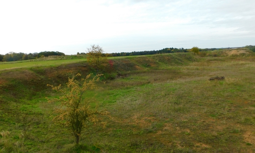 Die verlandete Sandgrube vor der Maßnahme.