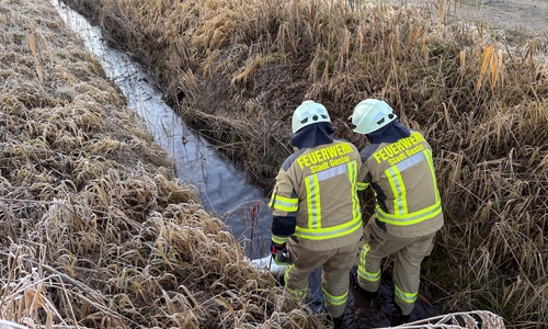 Die Feuerwehr setzte Ölsperren.