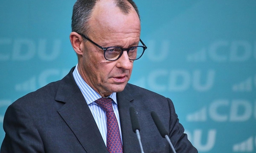 Friedrich Merz (Archiv)