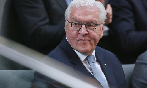 Frank-Walter Steinmeier (Archiv)