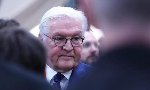 Frank-Walter Steinmeier (Archiv)
