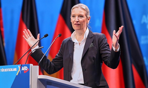 Alice Weidel (Archiv)