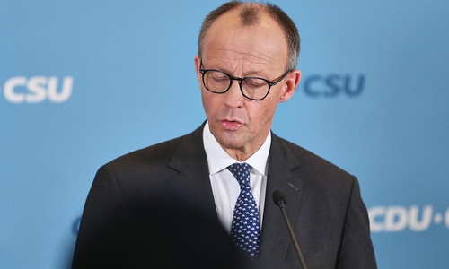 Friedrich Merz (Archiv)