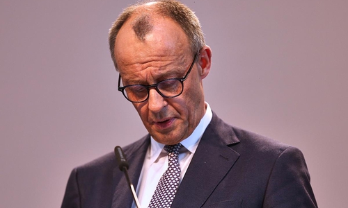 Friedrich Merz (Archiv)