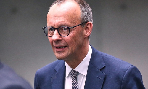 Friedrich Merz (Archiv)