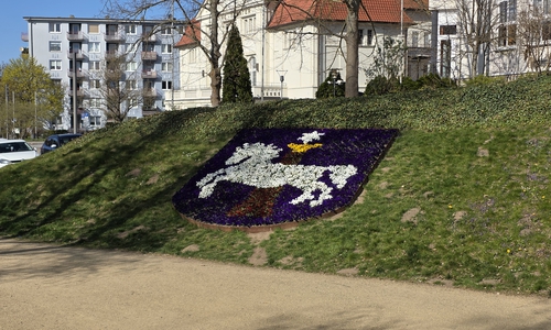 Wie soll es weitergehen mit Wolfenbüttels Grünflächen (Symbolbild)?
