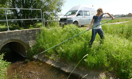 David Bentz, Teamleiter Probenahme der SEBS, schöpft Waser aus einem Fließgewässer. 
