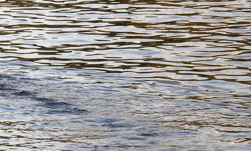 Wasser (Archiv)