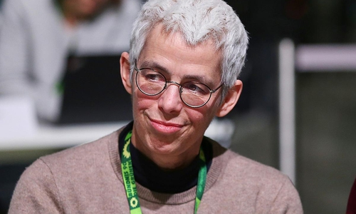 Ulle Schauws (Archiv)