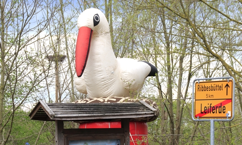 Das Storchenfest in Leiferde steht an.