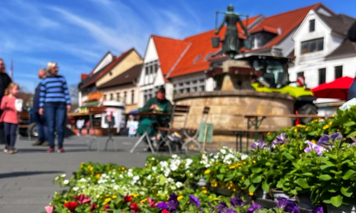 Blütenpracht beim Schöninger Landmarkt.