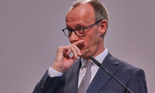 Friedrich Merz (Archiv)