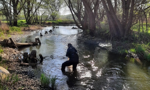 Wie erfolgreich waren die Maßnahmen an der Schunter? Das sollen unter anderem die jetzt angelaufenen Probenentnahmen zeigen.