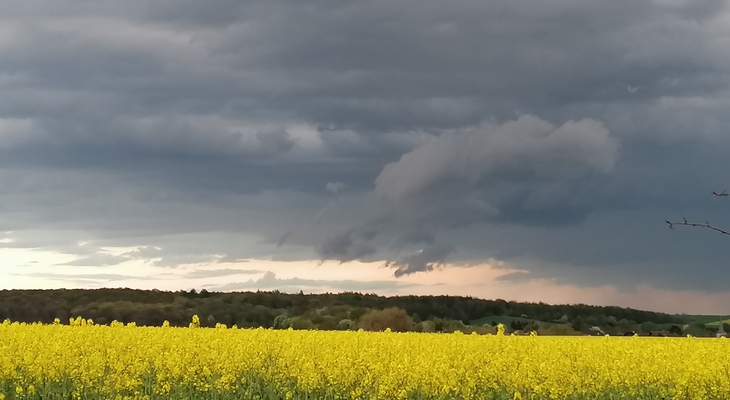 Braunschweig: Unwetter und Gewitter drohen: Doch wen trifft es?