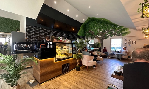 Vor knapp zwei Wochen hat in der Wolfenbütteler Innenstadt ein in der Region einzigartiges Café eröffnet: das Café Katzenwald.