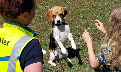 Die Rettungshundestaffel zeigt beim Ferienprogramm das Können der Hunde.