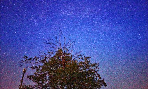 Baum mit Antenne auf einer Bergkuppe bei Sankt Andreasberg. Die rötlichen Punkte kommen von starkem Rauschen.