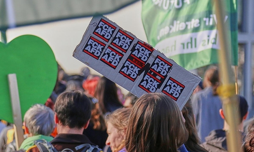 Protest gegen die AfD (Archiv)