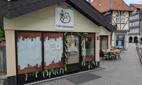 Morgen soll das Café Katzenwald in der Löwenstraße öffnen. 