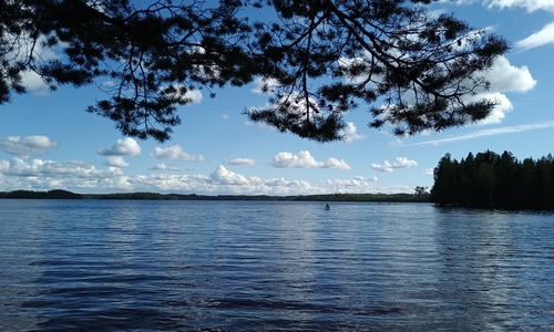 Einmalige Momente mit dem Kanu in Schwedens Natur.