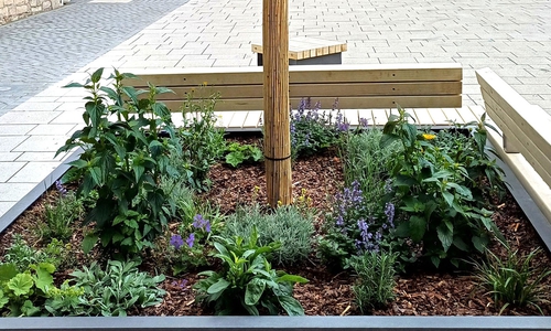 Frisch bepflanzt: Einer der mobilen Pflanzkübel in der Wolfenbütteler Fußgängerzone.