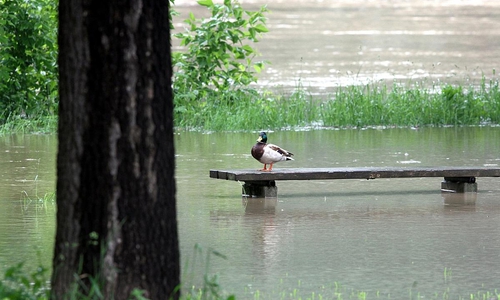 Hochwasser (Archiv)
