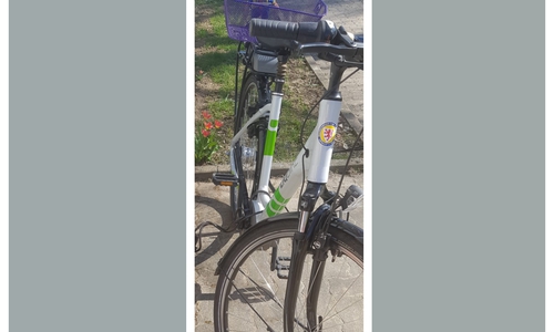 Foto des entwendeten E-Bikes.