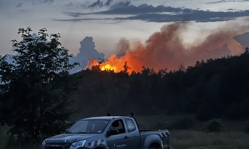 Die lodernden Flammen vor dem Abendhimmel.