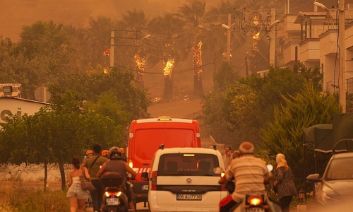 Waldbrände wüten in Izmir Ende Juni 2025